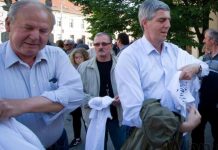 KTO PROTESTOVAL ZA HEDVIGU?