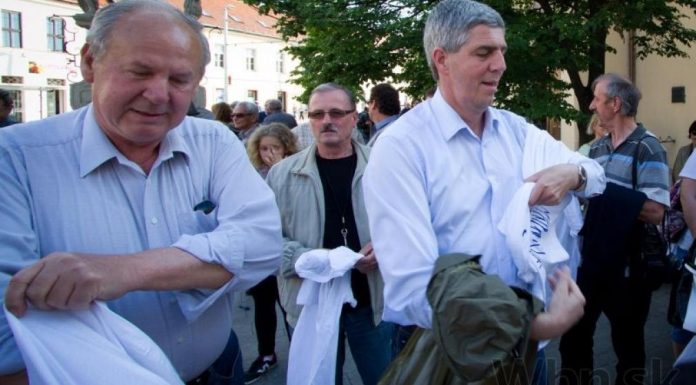 KTO PROTESTOVAL ZA HEDVIGU?