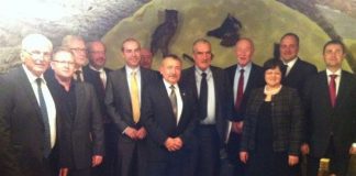 VYHLÁSENIE PREDSEDOV ZAHRANIČNÝCH VÝBOROV PSP ČR A NR SR ADRESOVANÉ VLÁDAM KRAJÍN V4