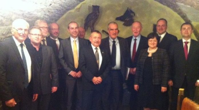 VYHLÁSENIE PREDSEDOV ZAHRANIČNÝCH VÝBOROV PSP ČR A NR SR ADRESOVANÉ VLÁDAM KRAJÍN V4