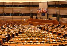 VITAJ, PARLAMENTNÁ DEMOKRACIA