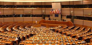 VITAJ, PARLAMENTNÁ DEMOKRACIA