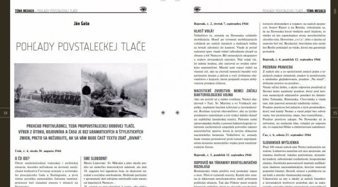 POHĽADY POVSTALECKEJ TLAČE