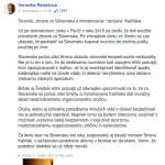 verzia1